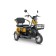 Электротрицикл Rutrike Бумеранг (Золотистый-3243)