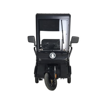 Электротрицикл Wanshida NIPLA 570 60V 1000Вт (Красный-3091)-6