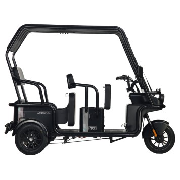 Электротрицикл Wanshida NIPLA 570 60V 1000Вт (Красный-3091)-3