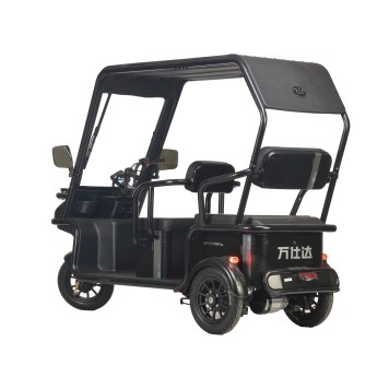 Электротрицикл Wanshida NIPLA 570 60V 1000Вт (Красный-3091)-2