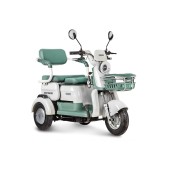 Электротрицикл Rutrike Gelbert Mercury 48V/60V 650Вт (Зеленый-3049)