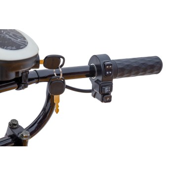 Платформенная тележка электрическая Rutrike ТАКСА ВАЙД-6