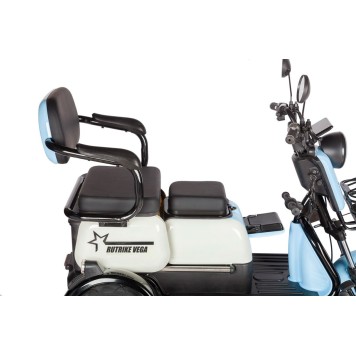Электротрицикл Rutrike Вега (Красный-3251)-10