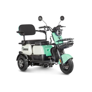 Электротрицикл Rutrike Вега (Зеленый-3253)