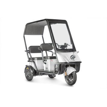 Электротрицикл Wanshida NIPLA 500 60V 1000Вт (Черно-белый-3087)