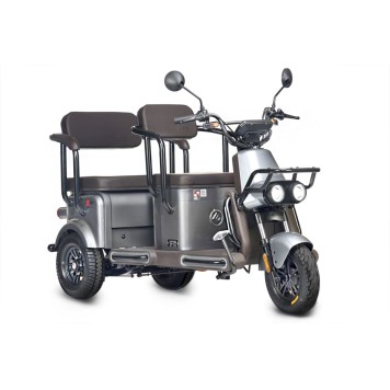 Электротрицикл Wanshida U1-X 60V 800Вт (Серый-3094)