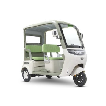 Электротрицикл Rutrike Астра (Зеленый-3268)