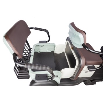 Электротрицикл Rutrike Gelbert Beta 48V/60V 800Вт (Бежевый-3027)-5