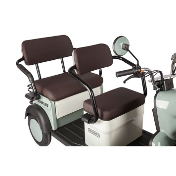 Электротрицикл Rutrike Gelbert Beta 48V/60V 800Вт (Бежевый-3027)-8