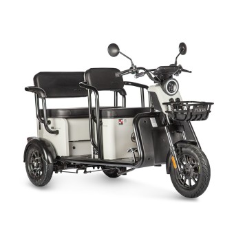 Электротрицикл Wanshida LC300 60V 1000Вт (Серый-3077)