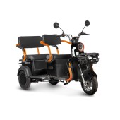 Электротрицикл Rutrike Gelbert Beta 48V/60V 800Вт (Черный-3028)